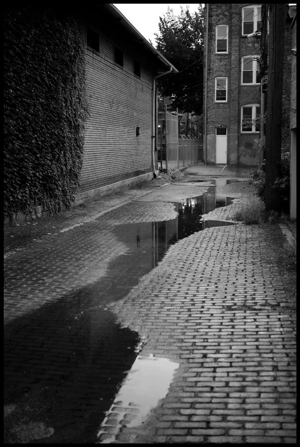 Puddles in the alley