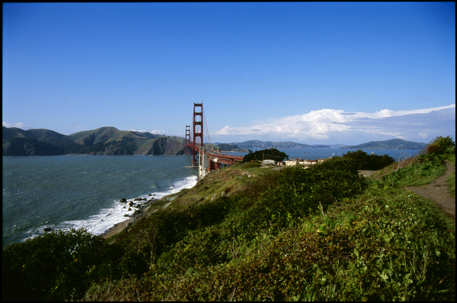 The bridge