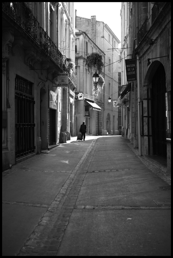 The lone traveler