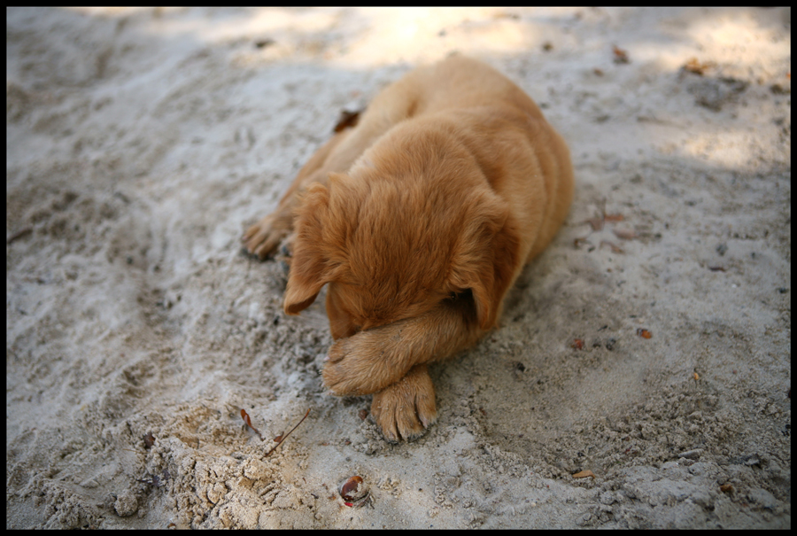 Hiding from the camera