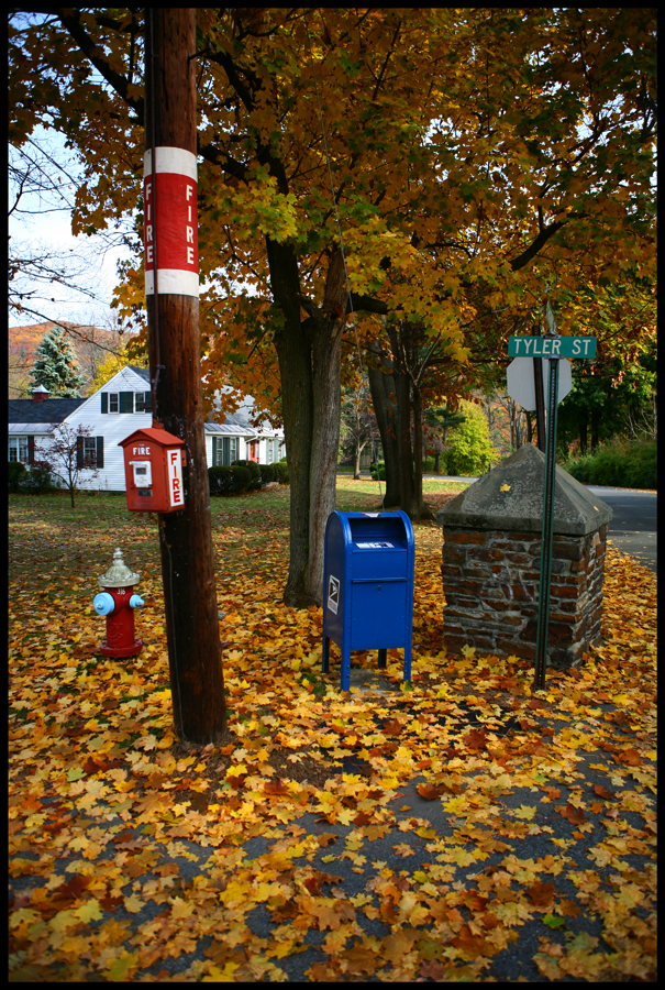 Tyler Street