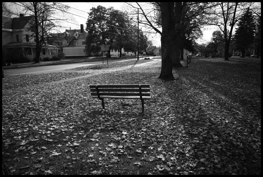 Sitting in the park