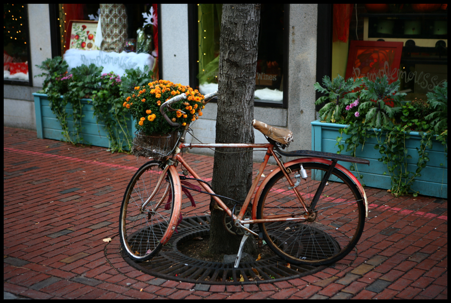 Old Bike