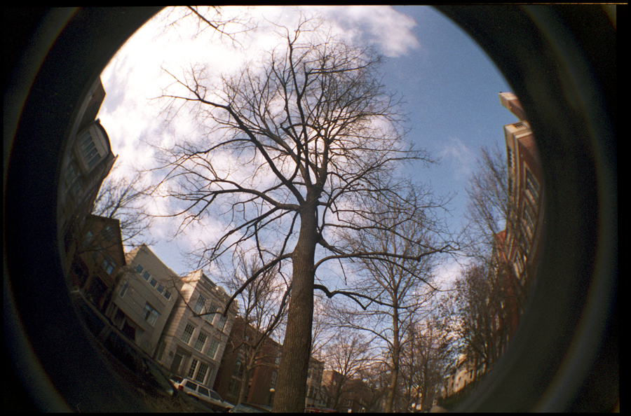 Life in the City