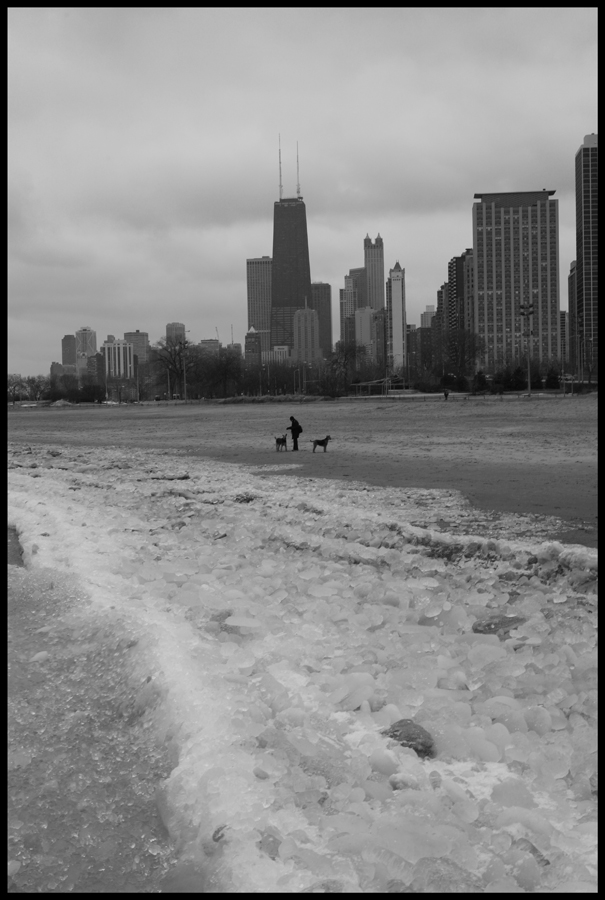 Winter in the Park