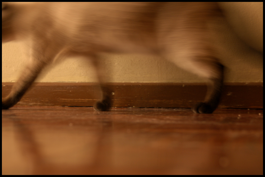 Sneaky Blur