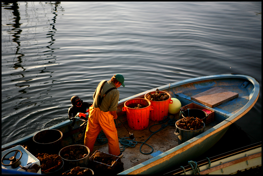 Fishermen