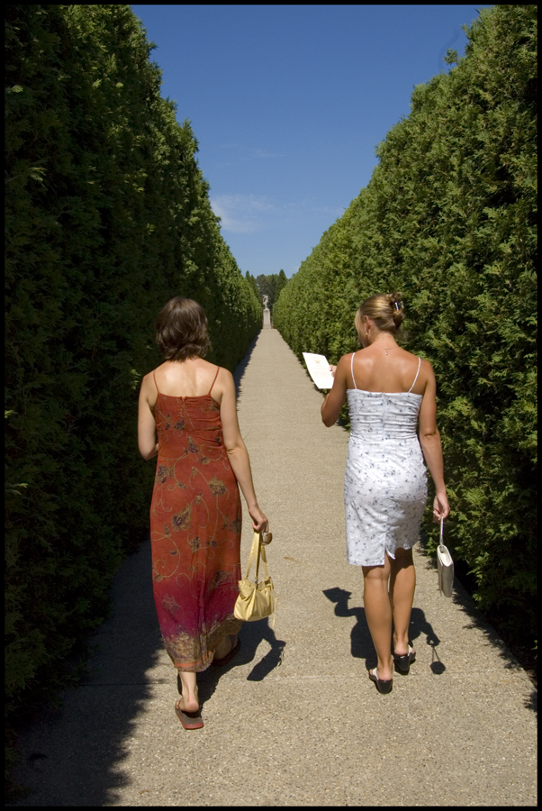 Down the Beaten Path