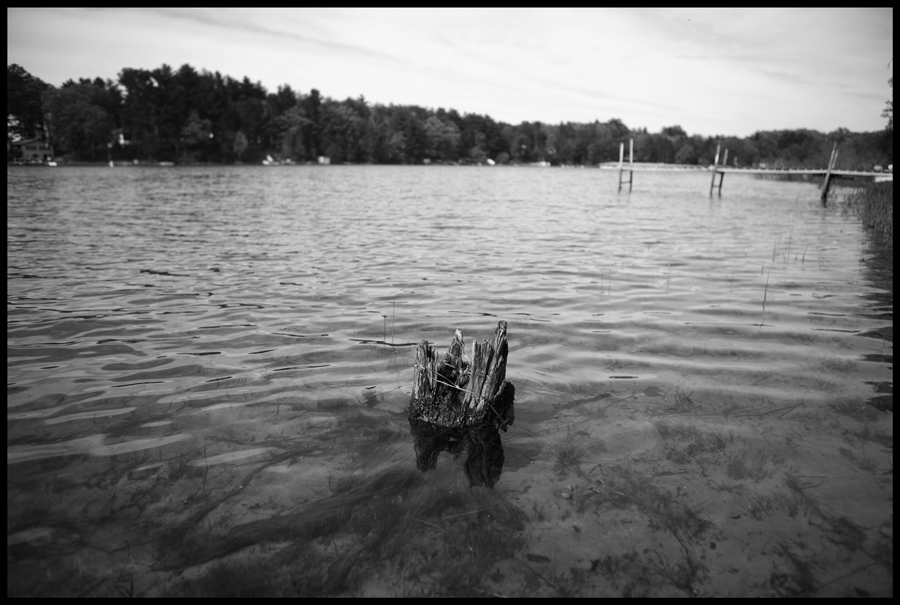 Stump in the Water