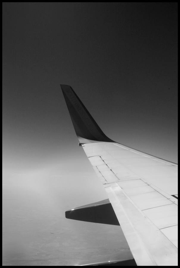 Little Wing