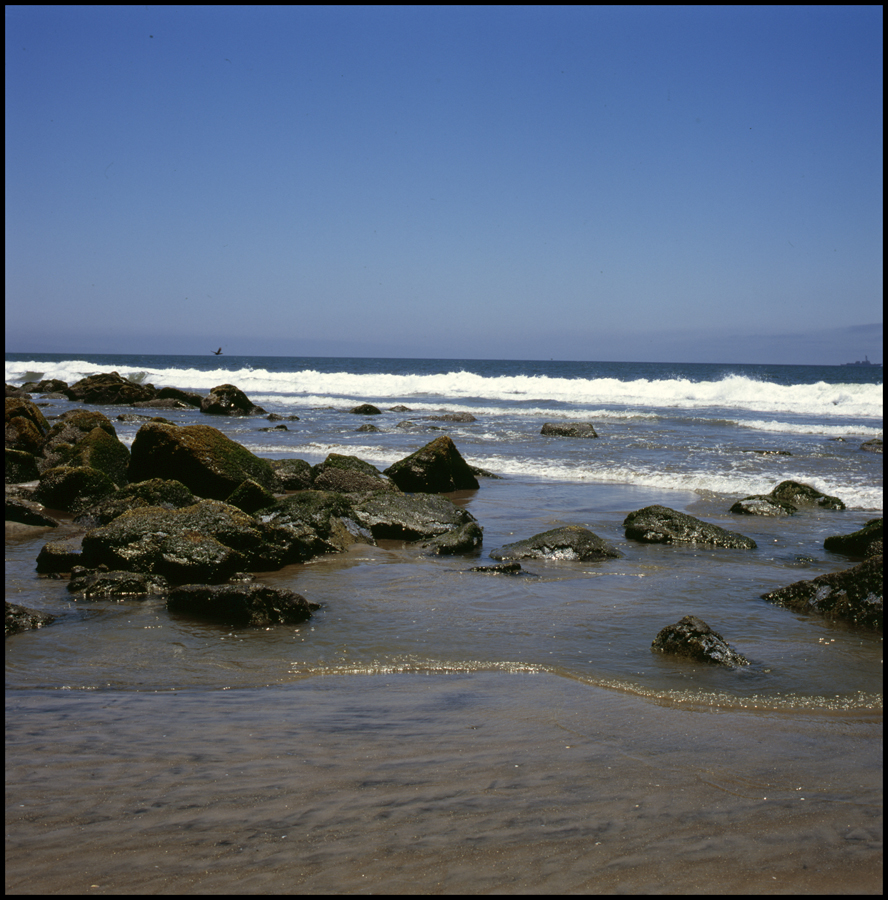 Coronado Shore