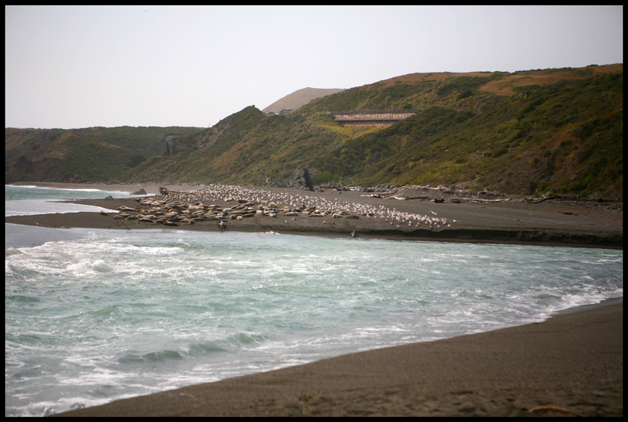 Seals