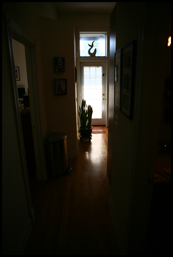 Down The Hallway