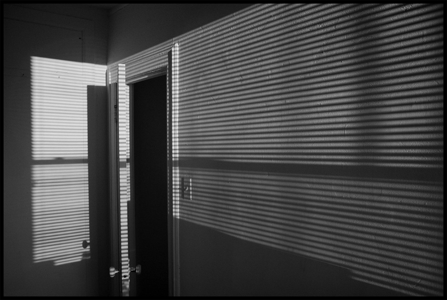 Lines