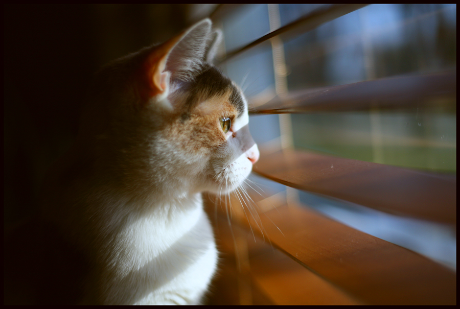 The World Outside