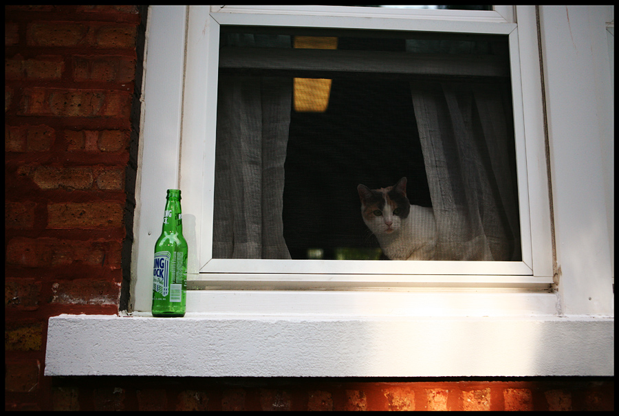 Ruby in the Window