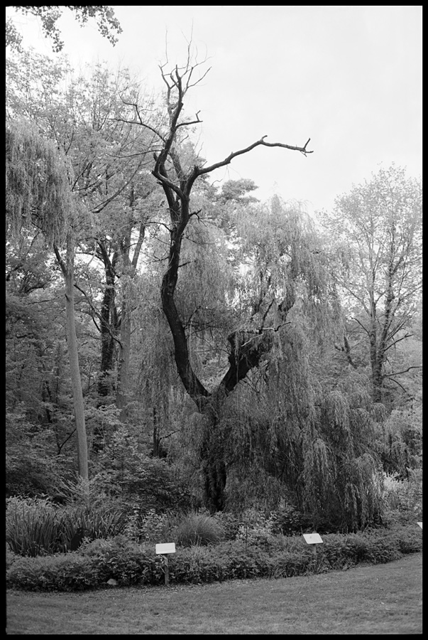 Reaching for the Sky