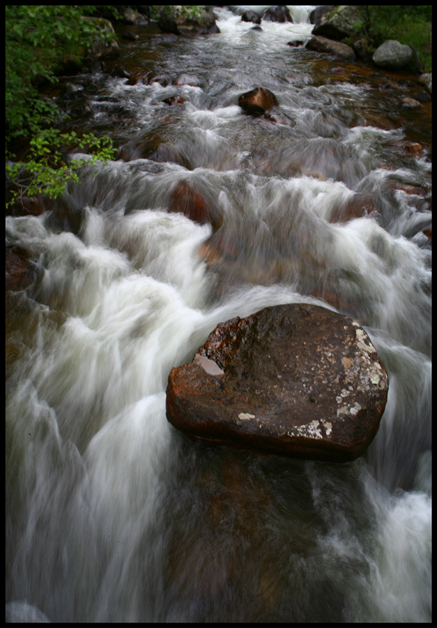 Take Me To The River