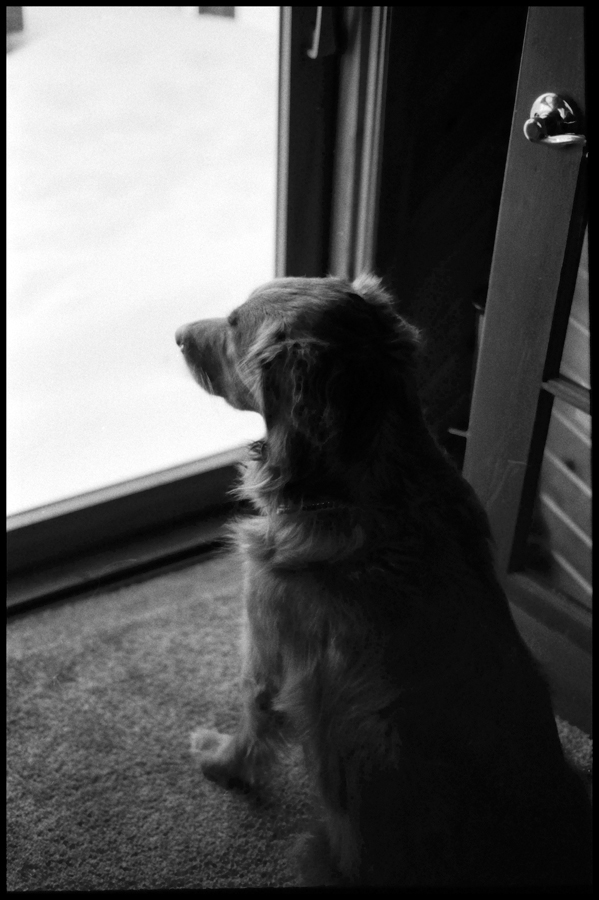 Toby Waiting