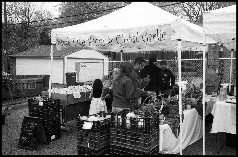 Swede Lake Farms And Global Garlic