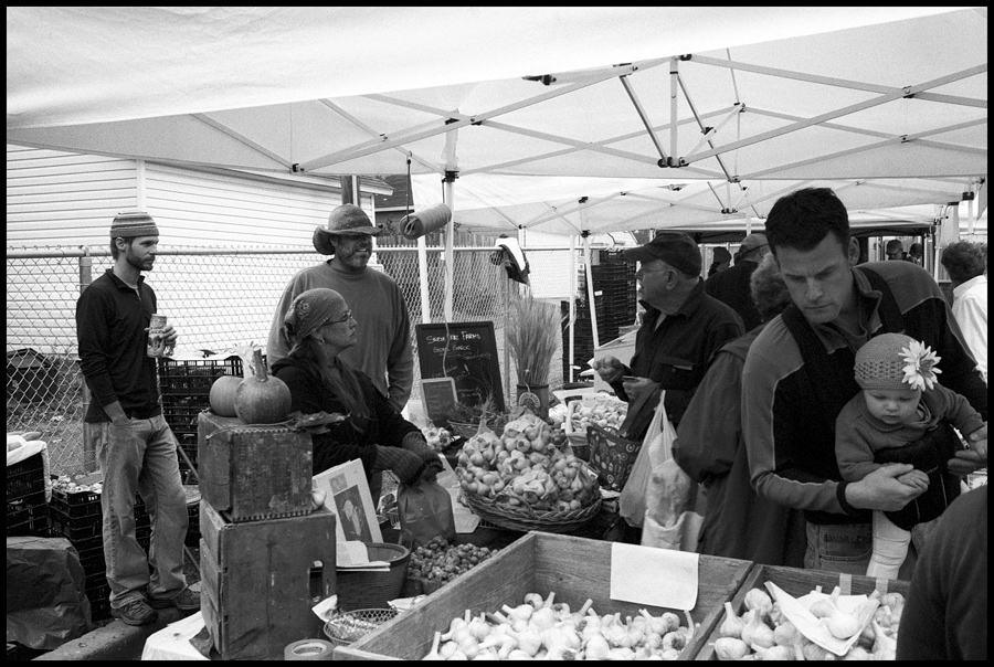Garlic Selection