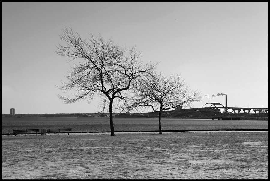 Winter Breeze