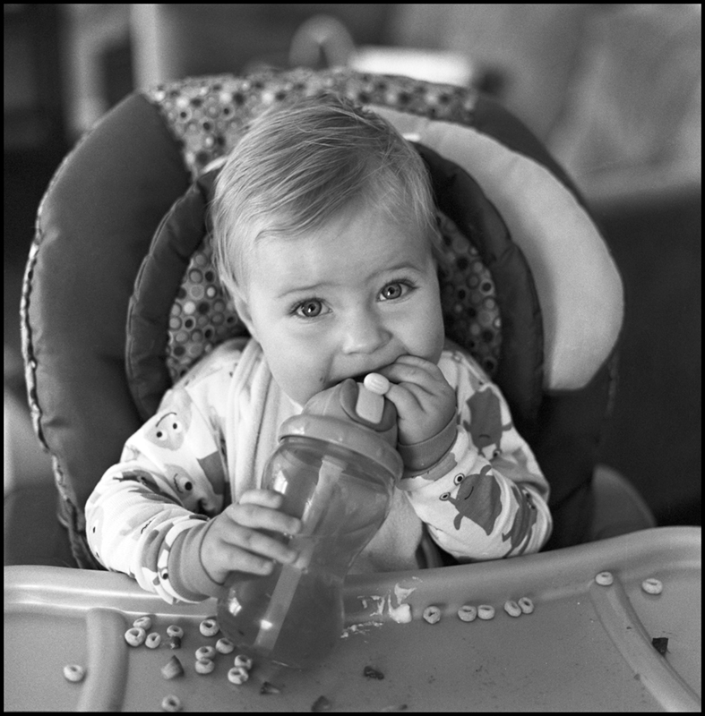 Molars