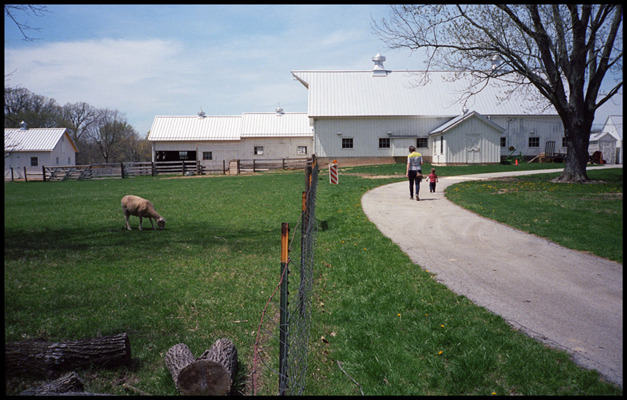On the farm