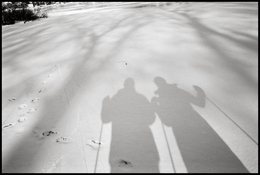 We Will Become Silhouettes