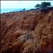 Torrey Pines Badlands